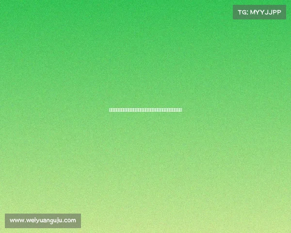 网球比赛球迷应援活动策划与实施：激发球迷热情打造精彩赛事氛围